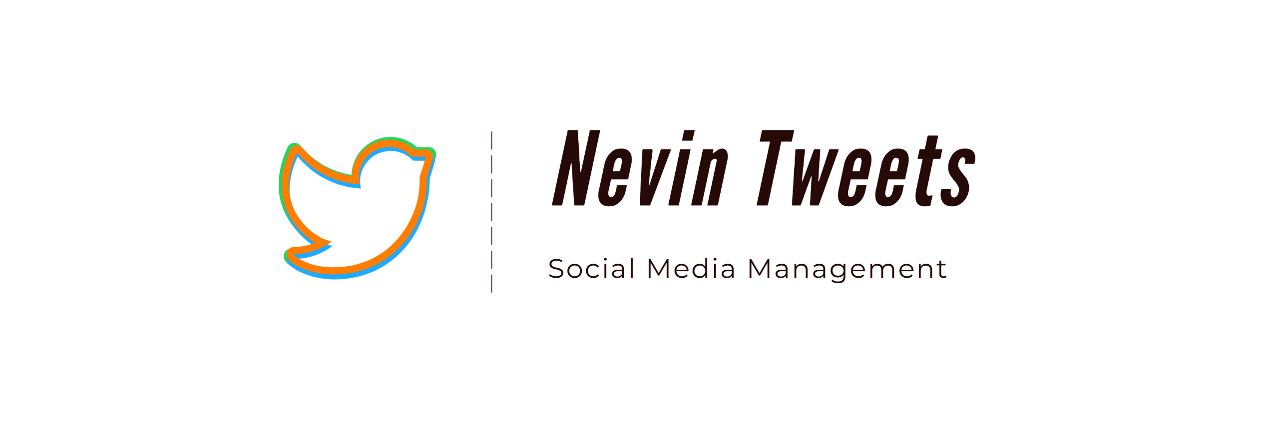 Nevin deMilliano's Portfolio